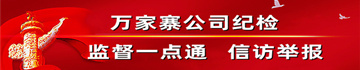 公司纪委信息网络服务平台使用指南